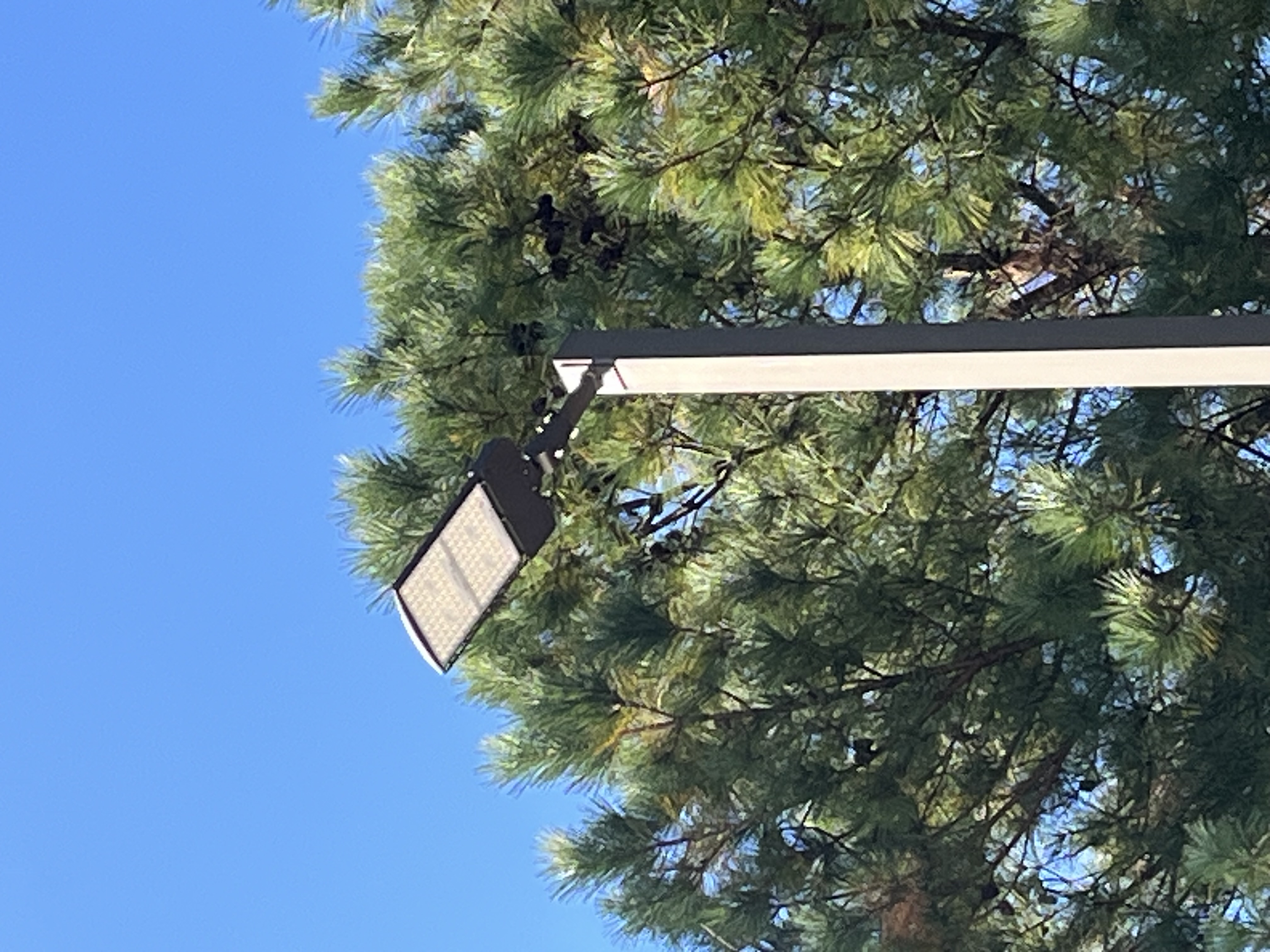 Commercial parking lot pole light installation and repair